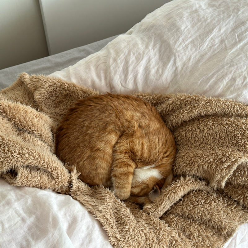 #1445 飛び込み営業の方に、本を勧める本屋