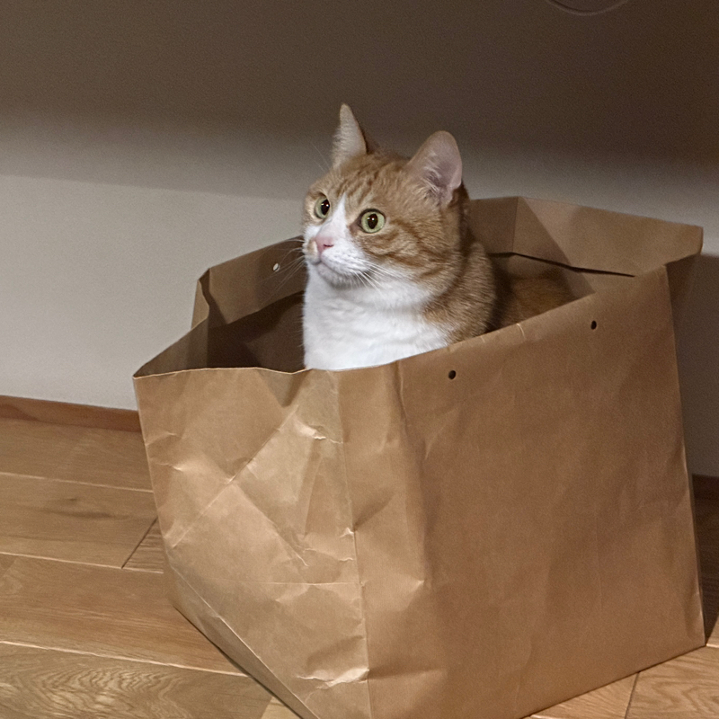 #1446 哲学ア・ラ・モード