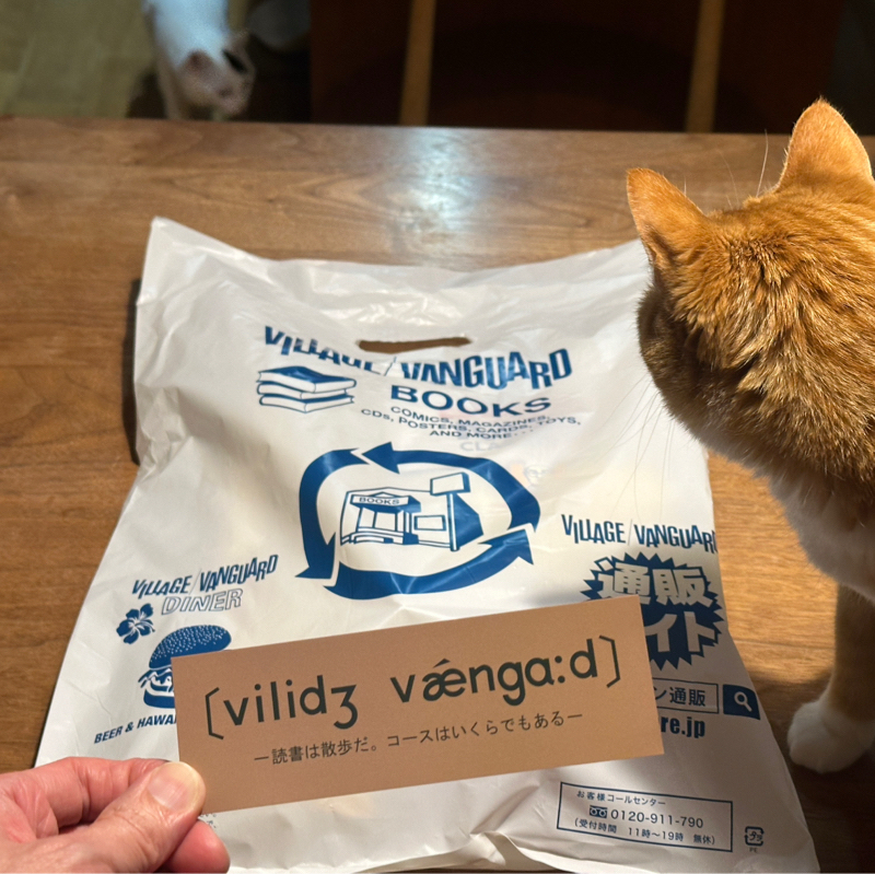 #1447 ヴィレッジヴァンガード本店へ行ってきた！