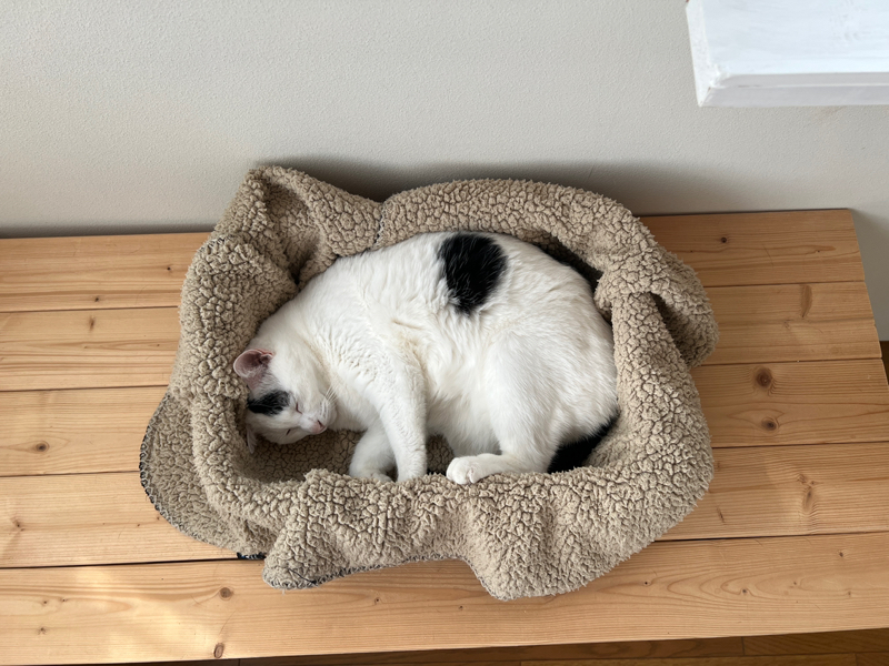 #1452 和食さとに行ってみた！