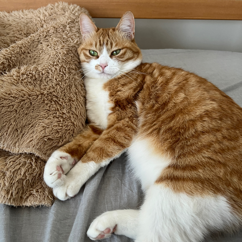 #1453 指を舐めないでください