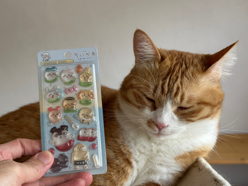 #1465 映画ちいかわ（ネタバレあり）