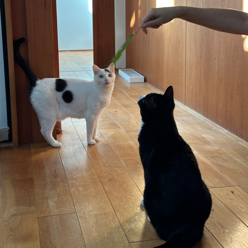 #1480 リサイクルショップ巡り