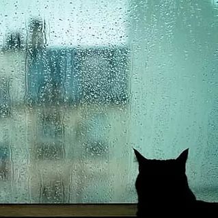 #60🎤ベルベットイースター①／「アカペラジオ」始めてみました🎤