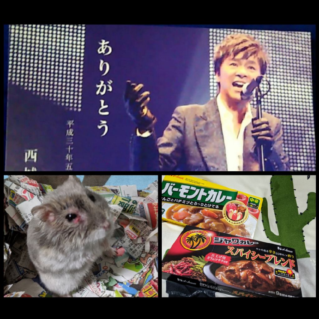 #71🔶おかえりメイちゃん／西城秀樹さんの三回忌＆ヒデキチャンネルの告知