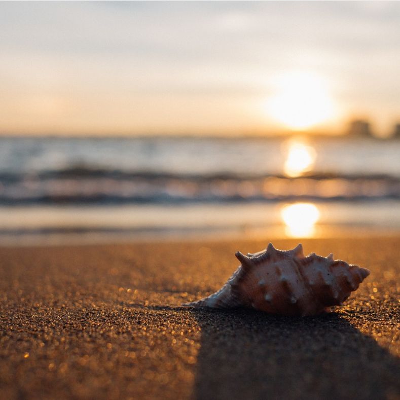 #99🎤砂浜（cathedral ballad）／とんとんのアカペラジオ①