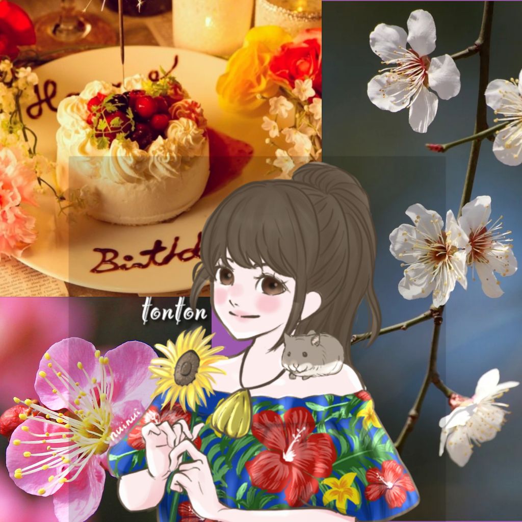 #271🎂2月生まれのあなたへ/とんとん&トミーより。お誕生日おめでとう🎉