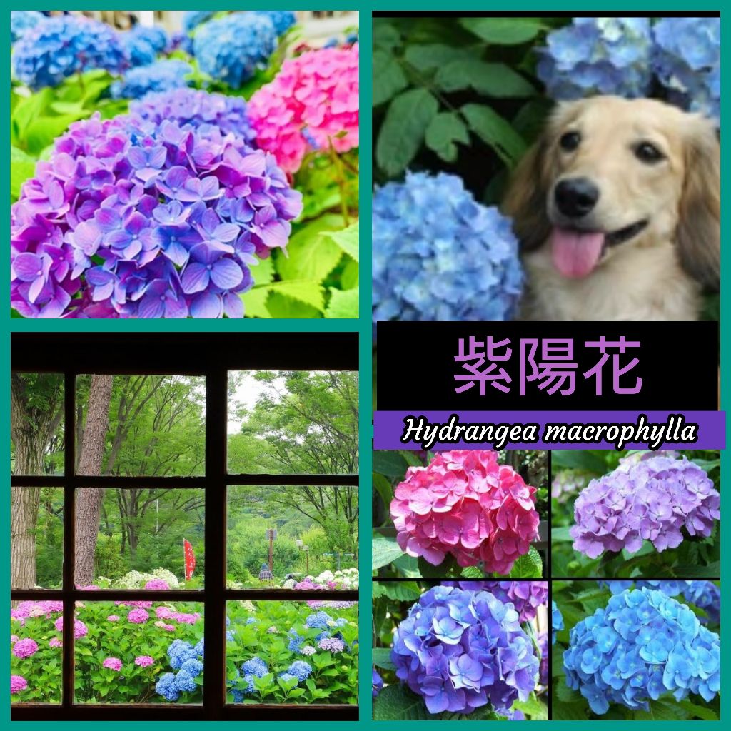 #355🔷移りゆく景色と共に／心ない言葉に負けないで