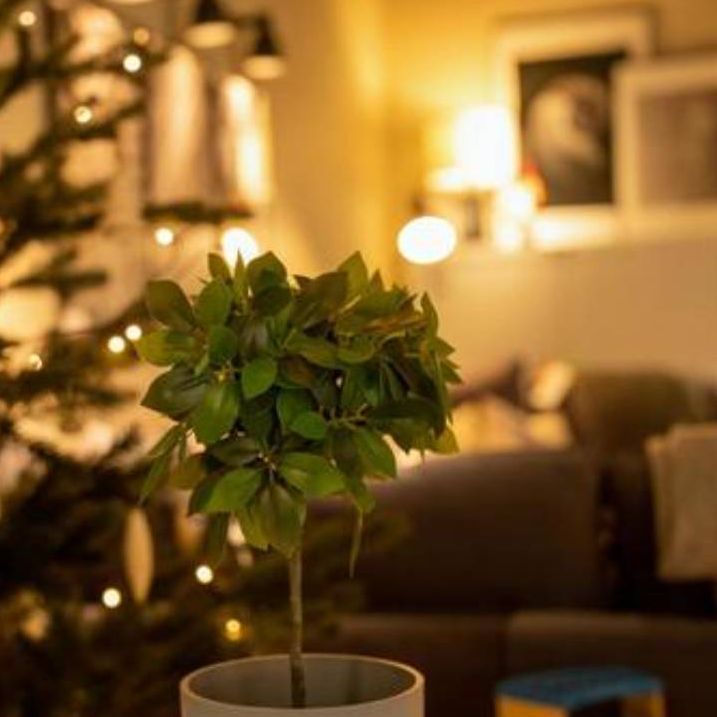 #474🎧よろしく哀愁 Part２／アカペラジオ