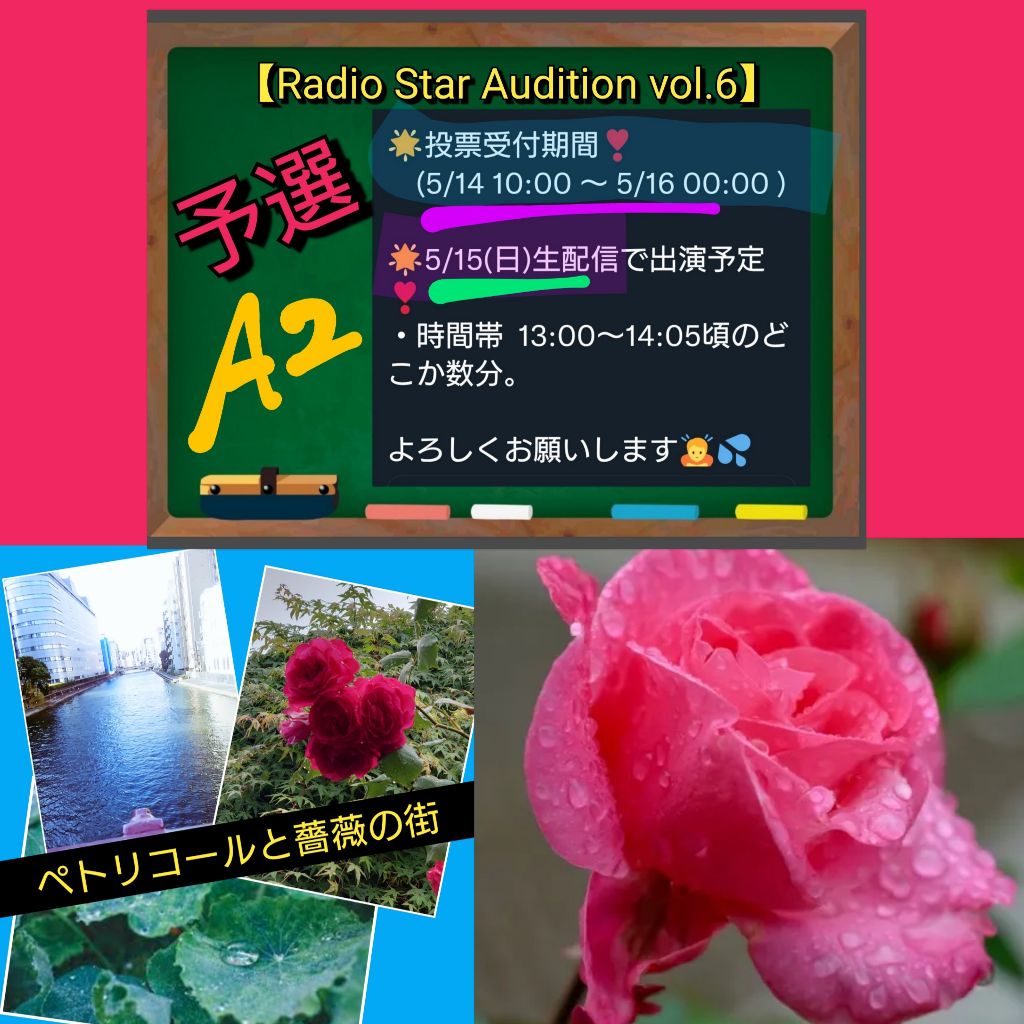 #723🔷ペトリコールと薔薇の街🌹/ドキドキの予選中