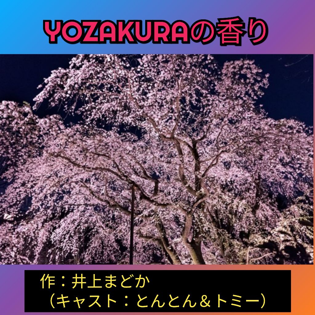 #644🔷「YOZAKURAの香り」/とんとん 恋のラジドラ