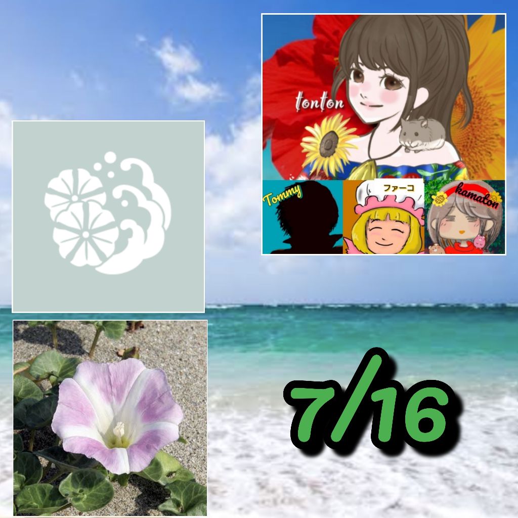 #1330 💮【花個紋と花言葉】浪に浜昼顔「ゆとり」/浜昼顔:絆、情事、休息、やさしい愛情