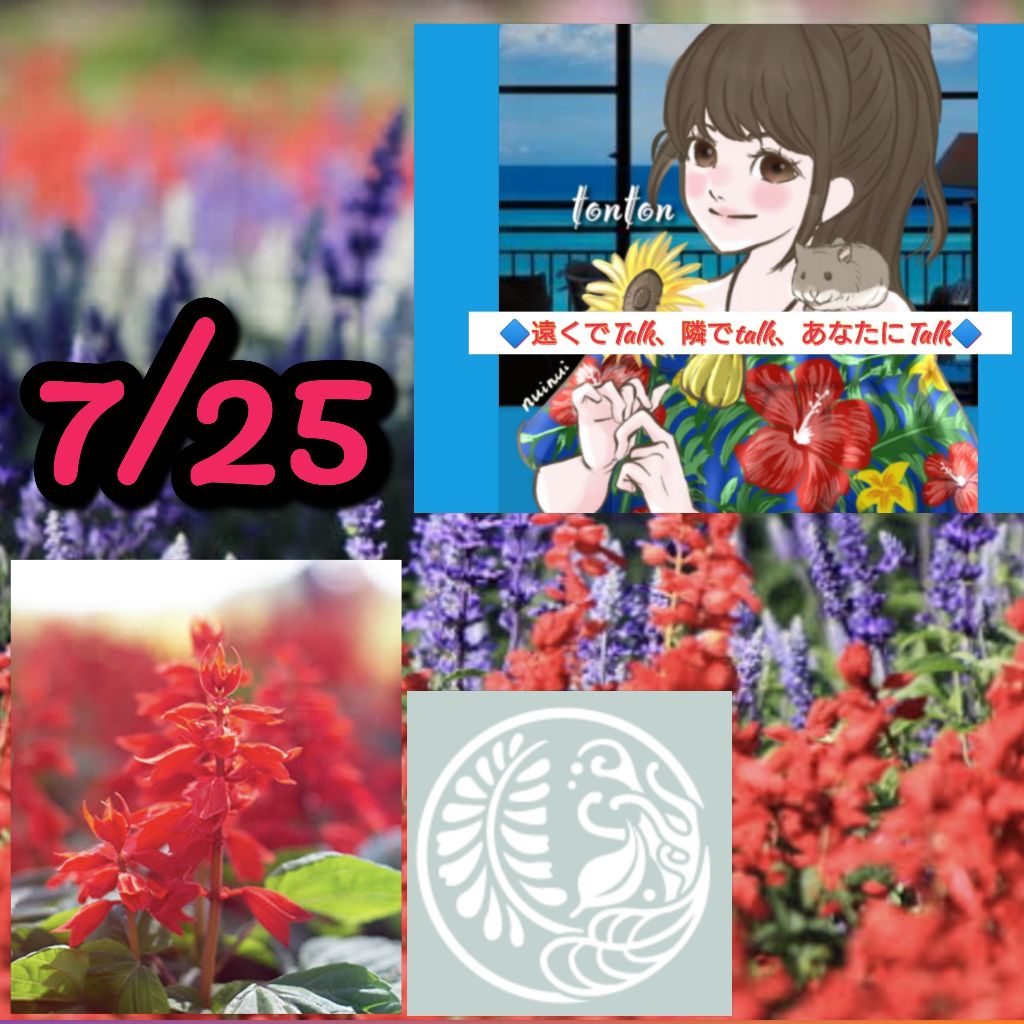 #1355 💮【花個紋と花言葉】丸に緋衣草「正義」/緋衣草(サルビア)