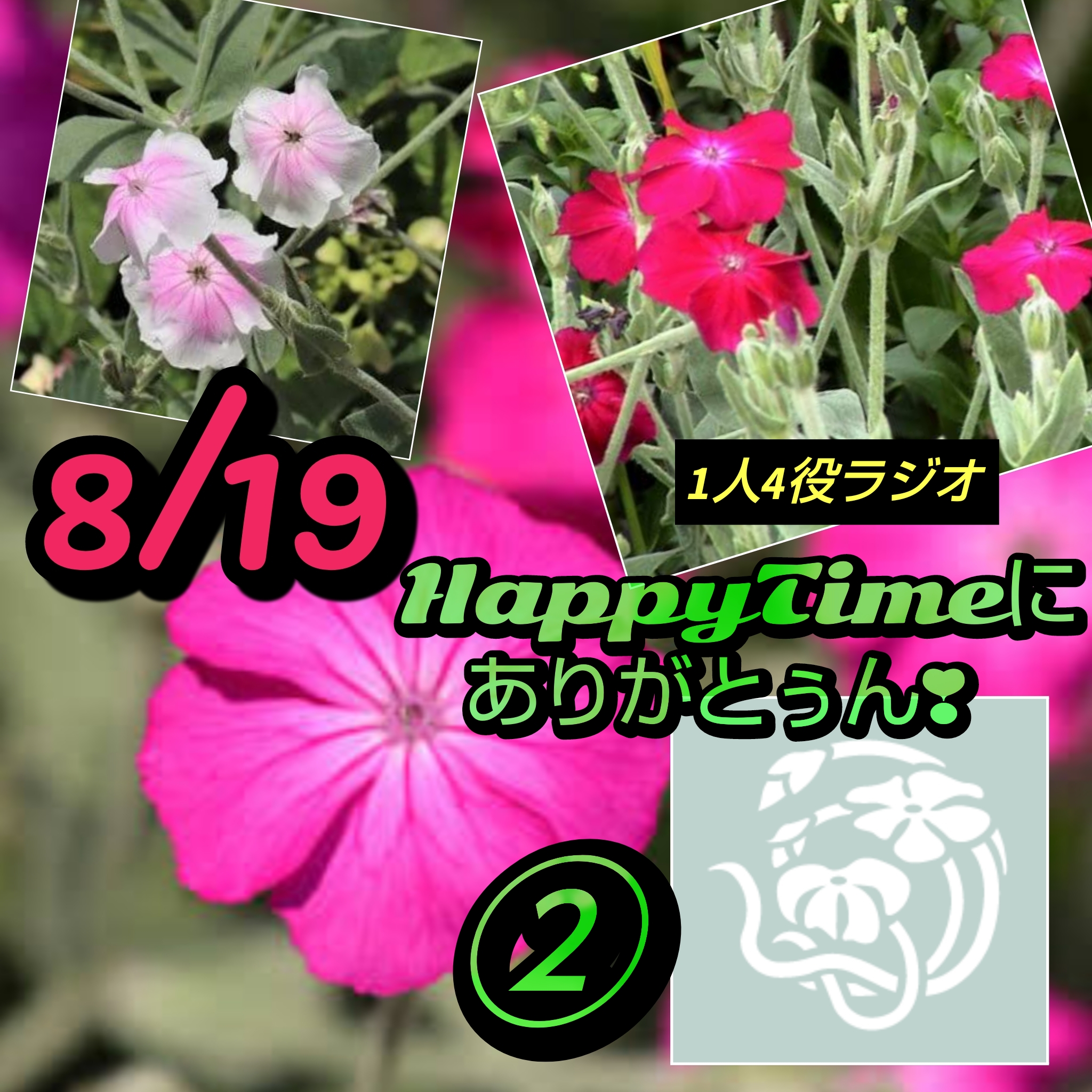 1782 🟨【花個紋】風舞い酔仙翁（かざまいすいせんのう）／HappyTimeにありがとぅん❣️