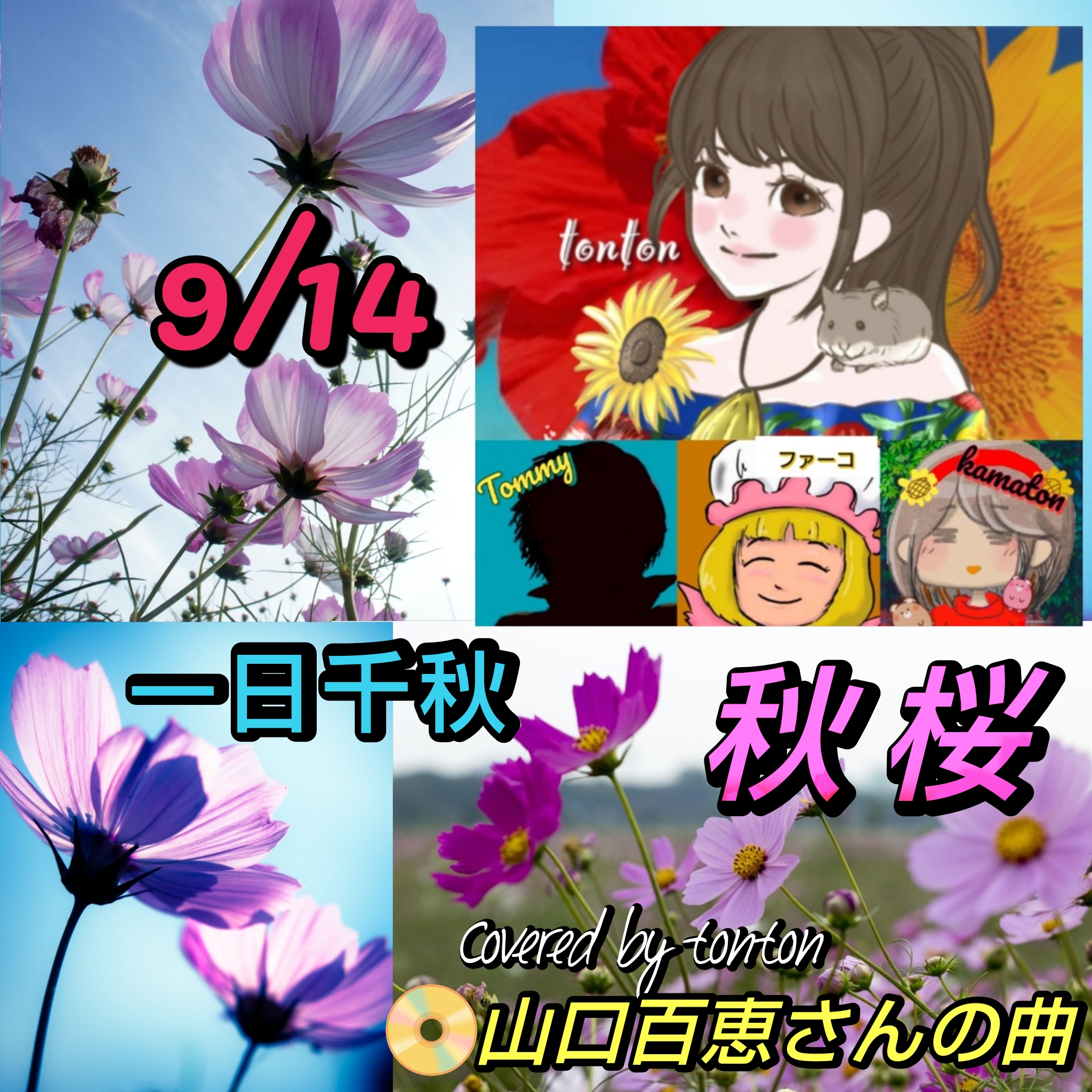 1794🟥📀『秋桜』山口百恵さんの曲/「一日千秋」コスモスの日に捧ぐ