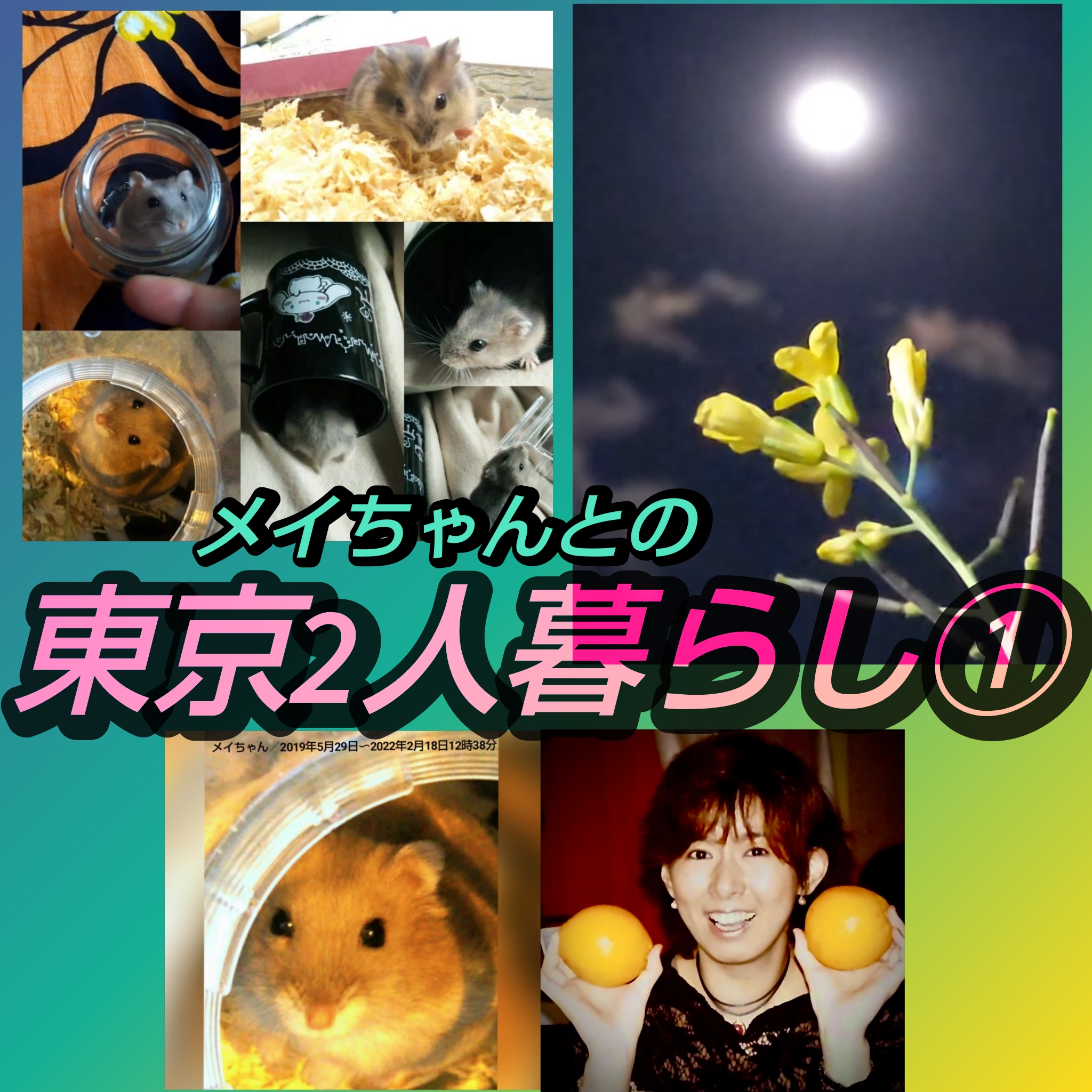 1846 🌈【東京2人暮らし①】あれから4年／Wワークとメイちゃんとの引っ越し