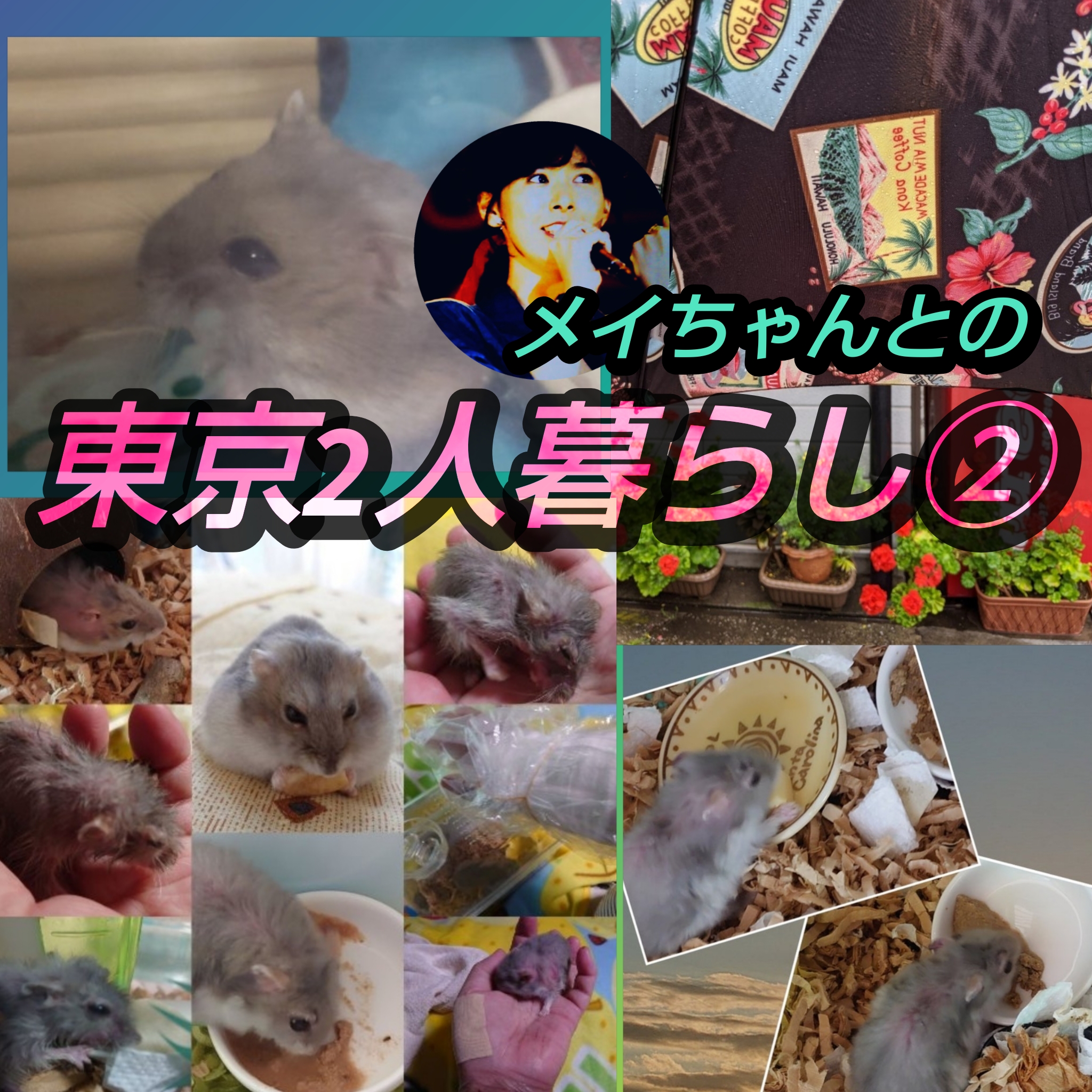 1847🌈【東京2人暮らし②】🐹あれから4年／新居での東京2人暮らし