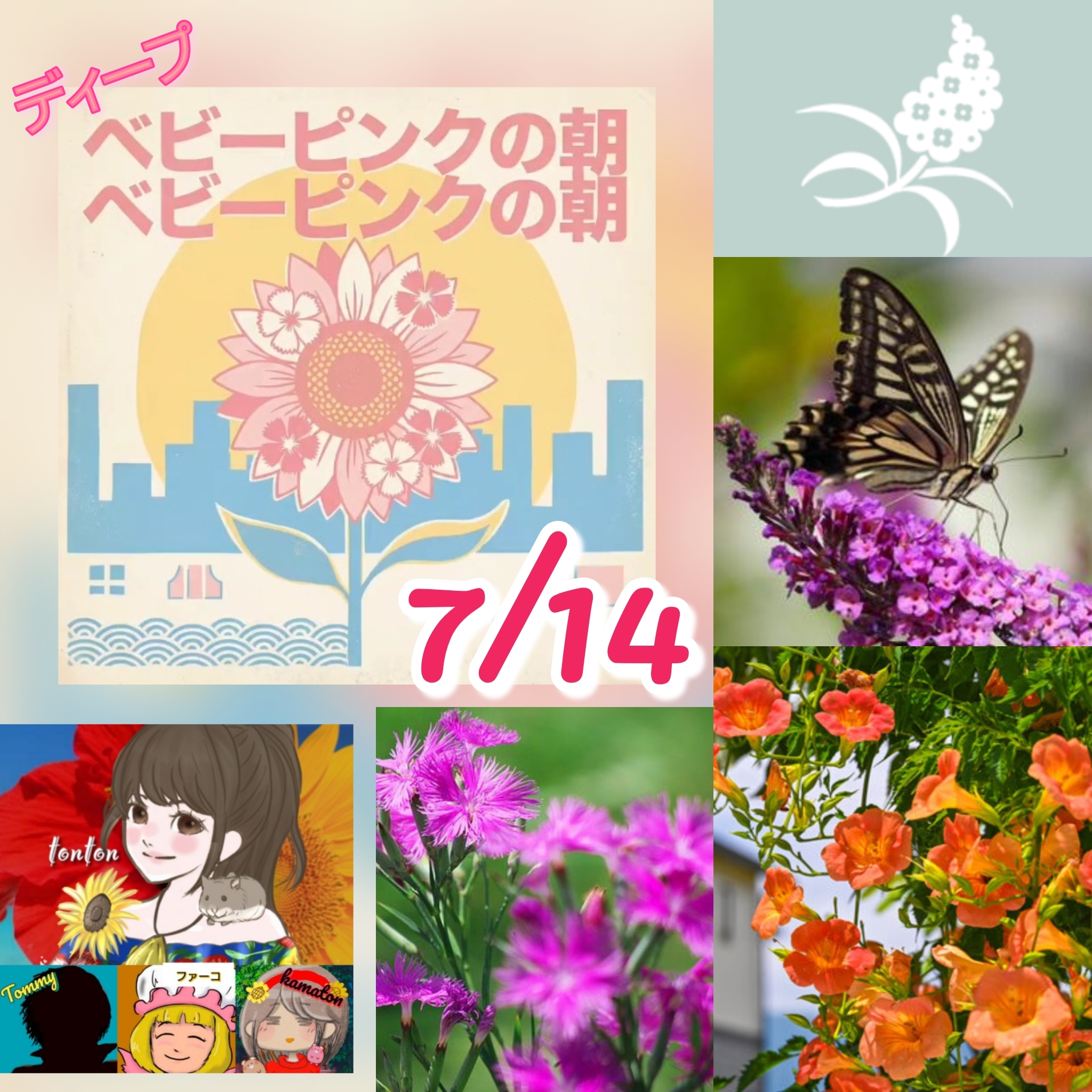 1883 🟨📀『ベビーピンクの朝』7月14日の記念日ソング／HappyTimeにありがとぅん❣️
