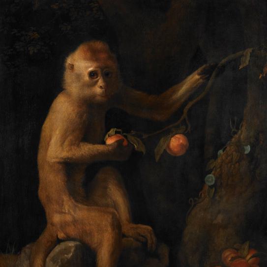 #9 十二支トーク「申(さる)」