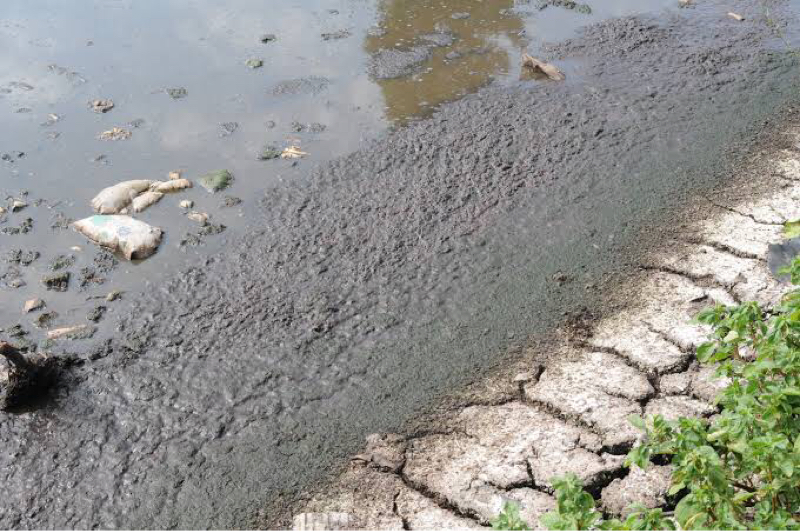 #107 そんな事言わずに褒めようよ⑧ヘドロ編