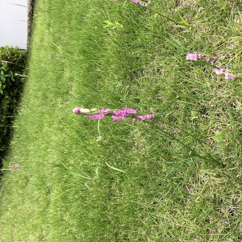 なんだったんだろう。自己紹介？かな