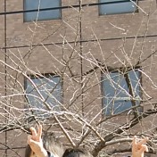 #18  困ったときのぴょんぴょん