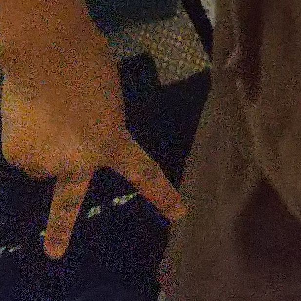 #269 保育園たのしかったです