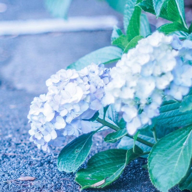 21時のひとりごと