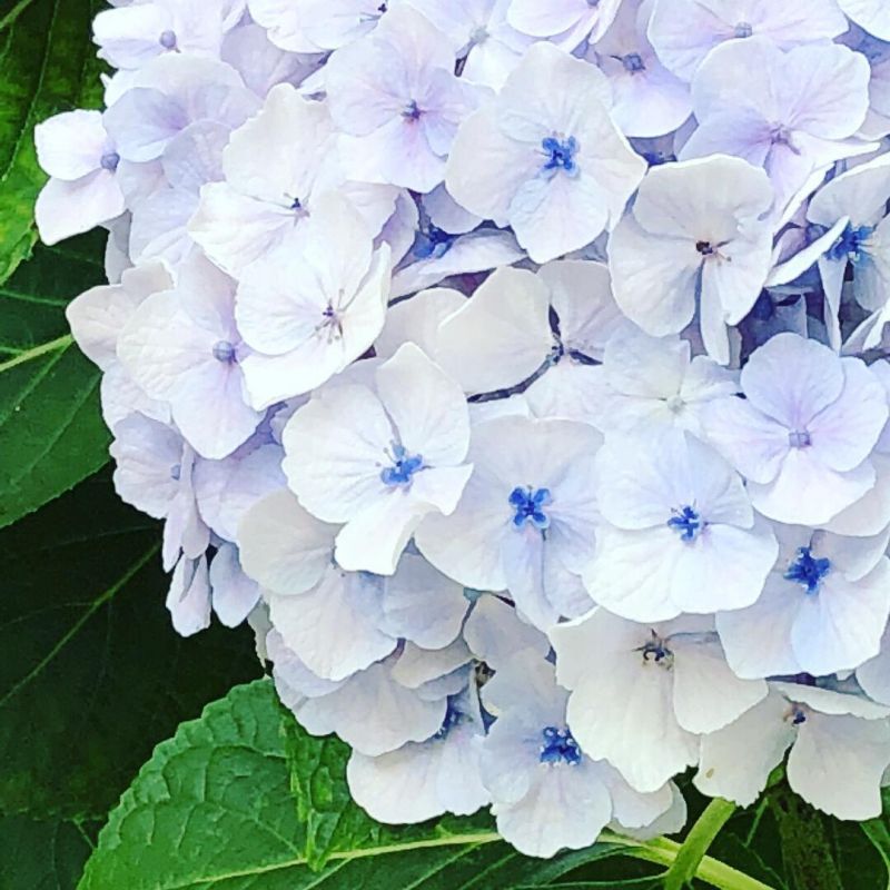 入りきらなかったけど仕方ない