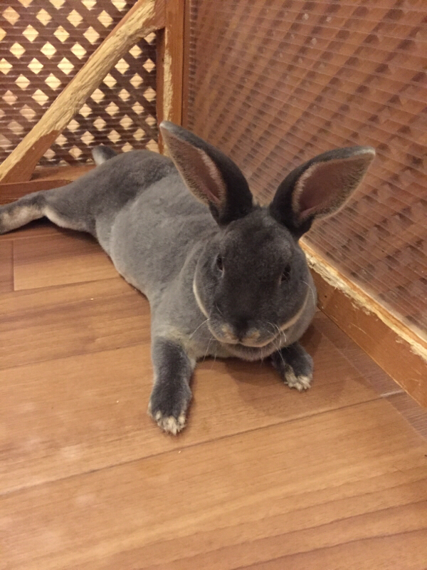 せくしゃりてぃについて