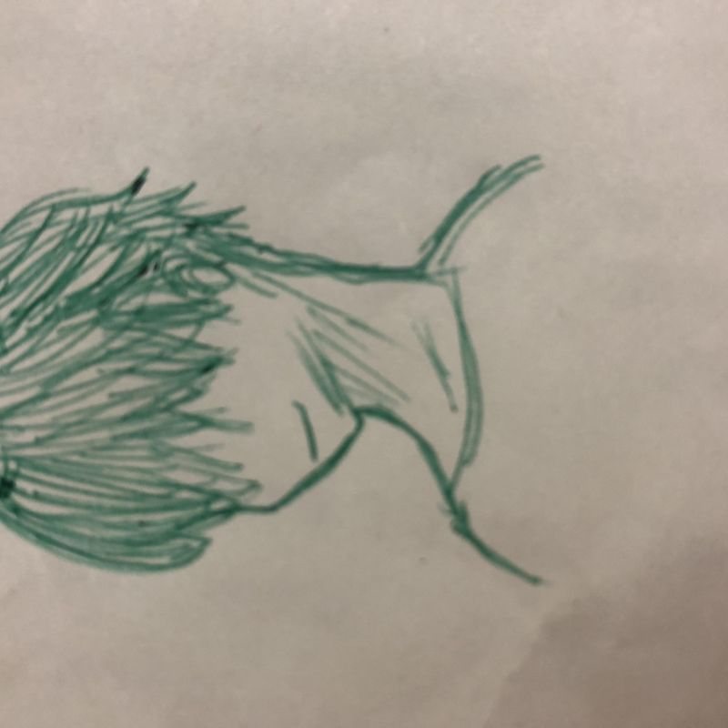 キノさんの「枠」とフィックスとフレックス