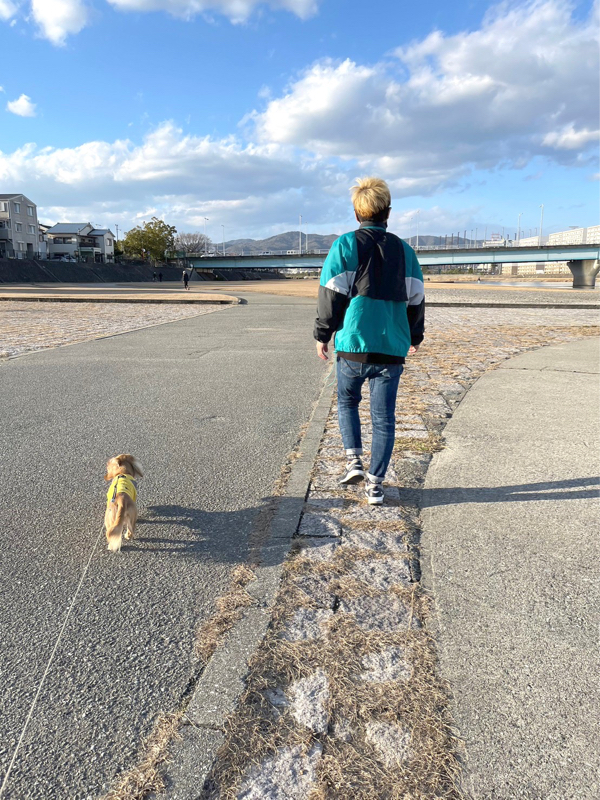 どっちの方向を目指していくか