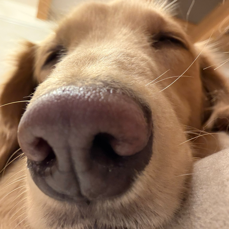 この冬のオススメ