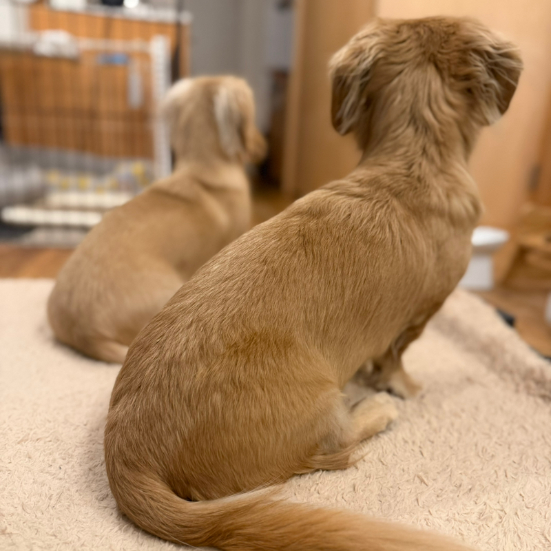 誰よりも抜きん出るには