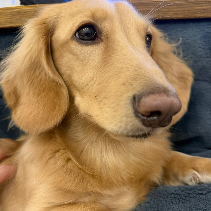 難しい事は何1つない