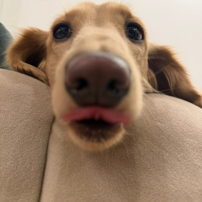 去年を超え続ける事