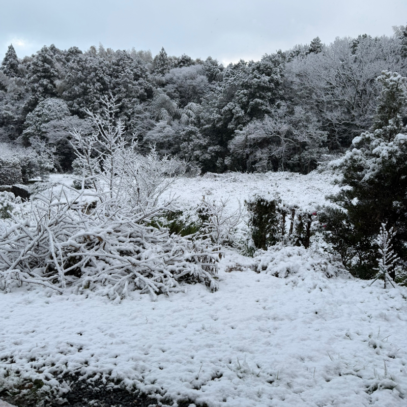 2026年もよろしくお願いします！