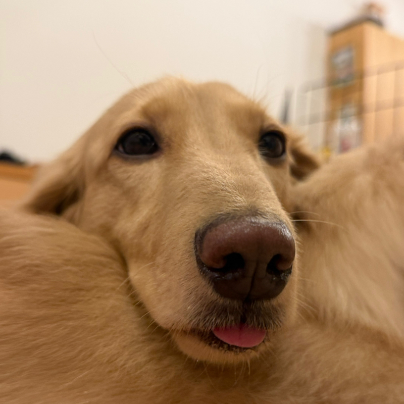 育った環境での違い