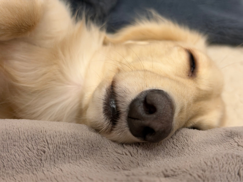 100点じゃない方が良い事もある