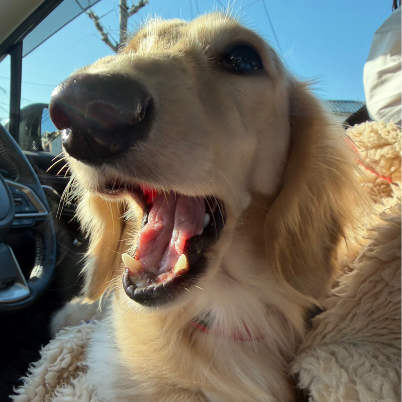 思ってたんと違う。。