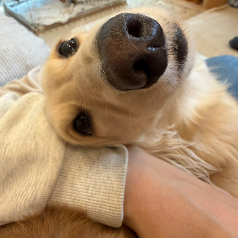 サイレント失客の理由