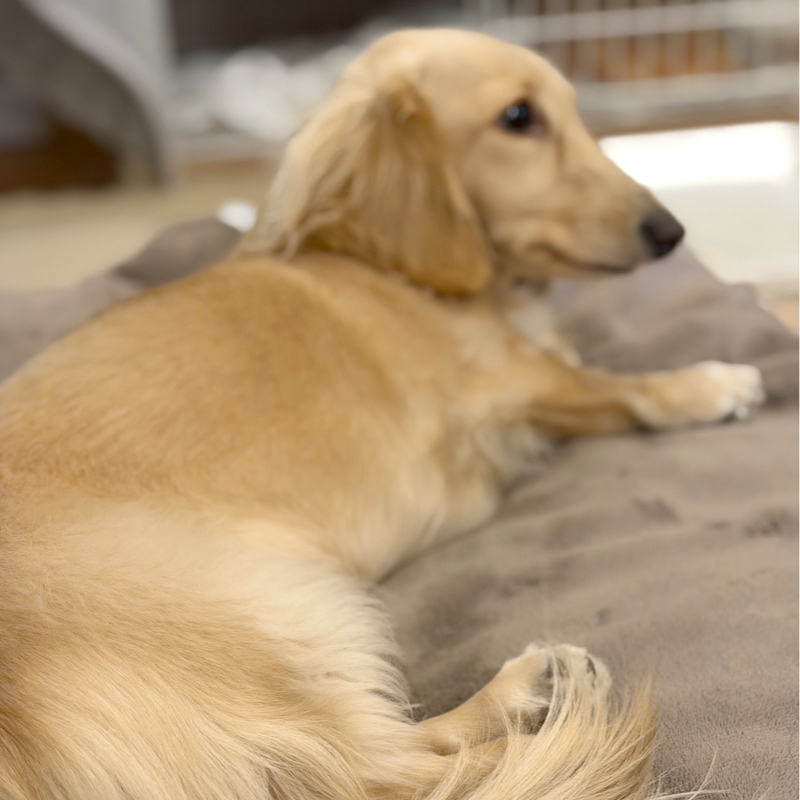 自分の枠からはみ出せるのか