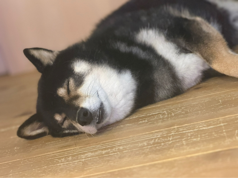 新しい経験を