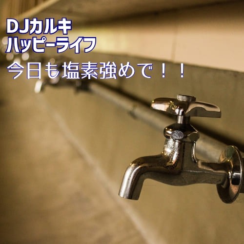DJカルキのハッピーライフ 今日も塩素強めで！