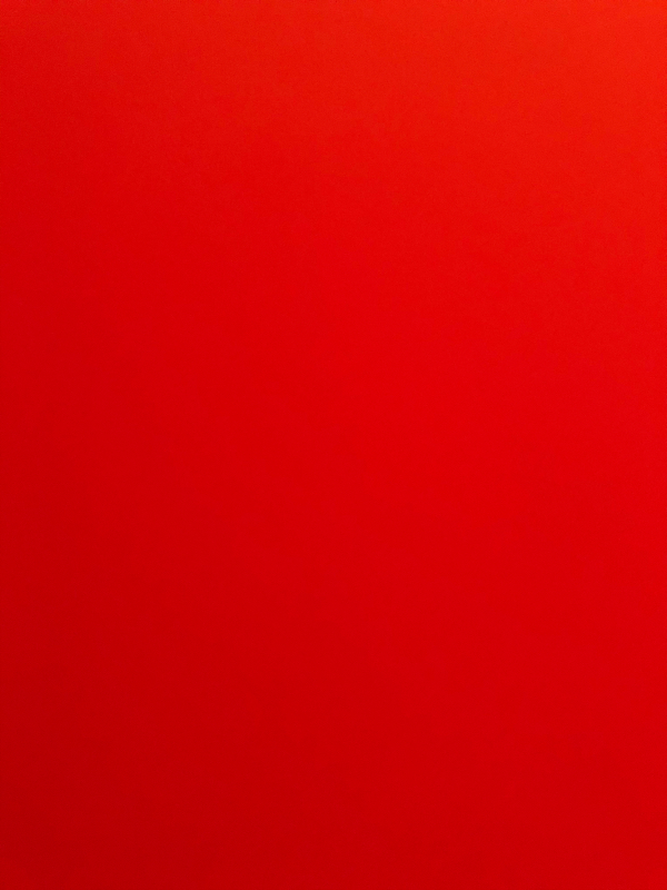 #20 知能検査翌日の過ごし方