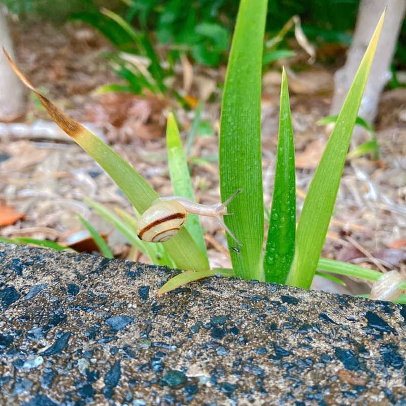 お悩み　人が普通に出来ることが出来ない