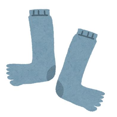 第4回 オーリーの靴下と100回目のアルヴァニスタレース。