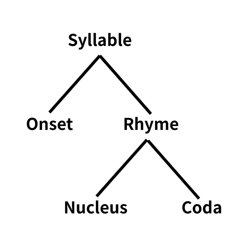 #831 音節が軽かったり重かったりするの？英語の強勢規則