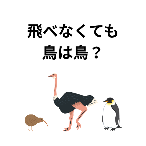 #838 プロトタイプ理論と品詞分類