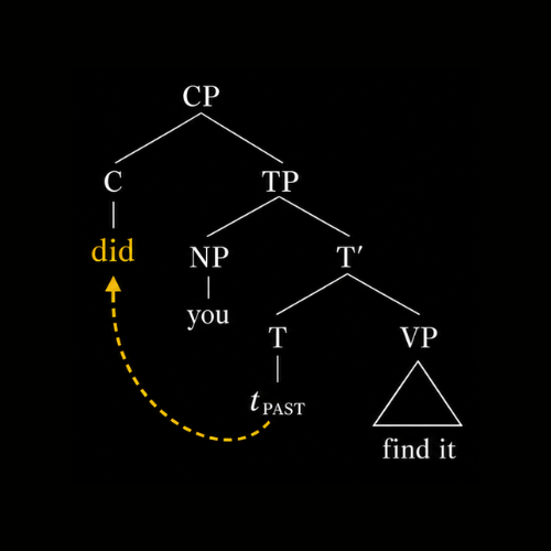 #889 Did you find it? の did ってなに？do-support